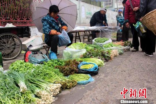 湖北荆门：山野菜为农民致富增收(图)