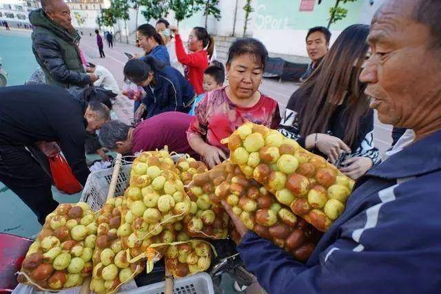 致富经豆米大王视频_致富经王大军_80米大王乌贼图片