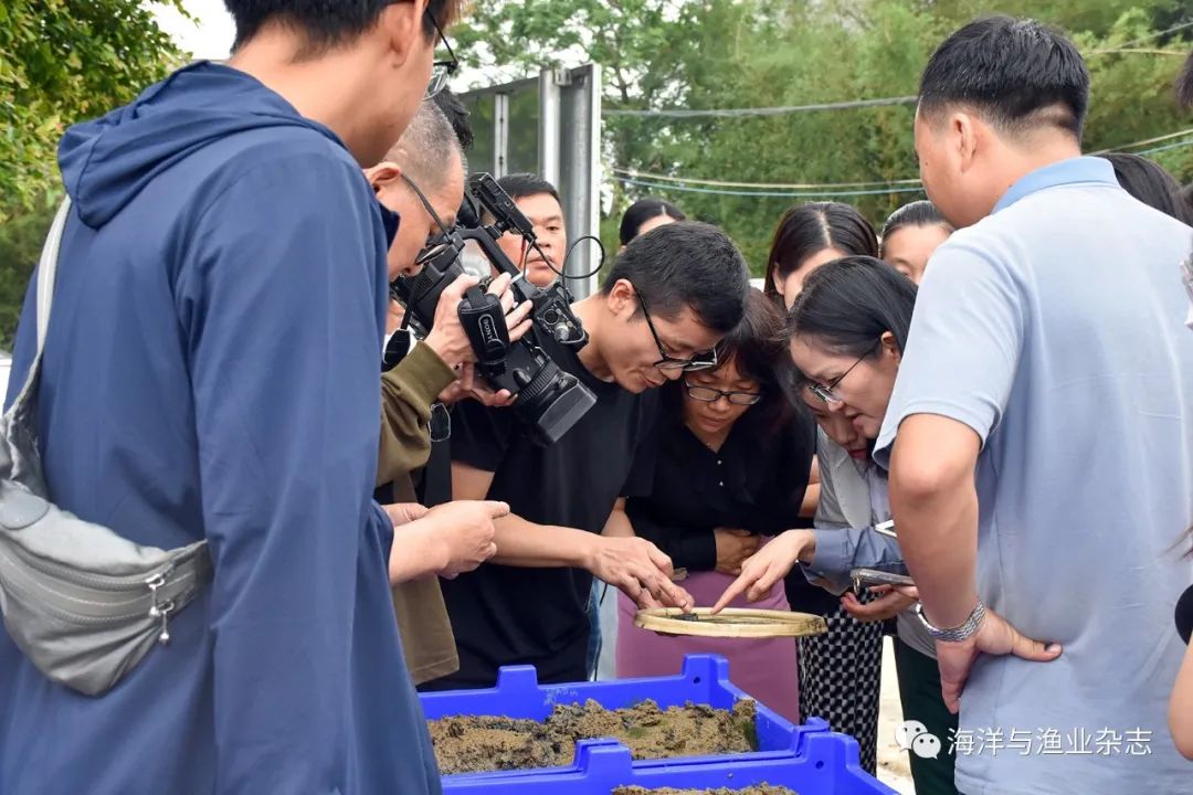 螺丝的养殖技术视频_丝螺养殖技术视频_螺蛳养殖技术免费视频教程