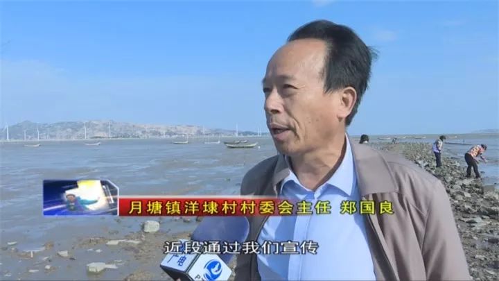 螺蛳养殖技术免费视频教程_丝螺养殖技术视频_螺蛳养殖视频