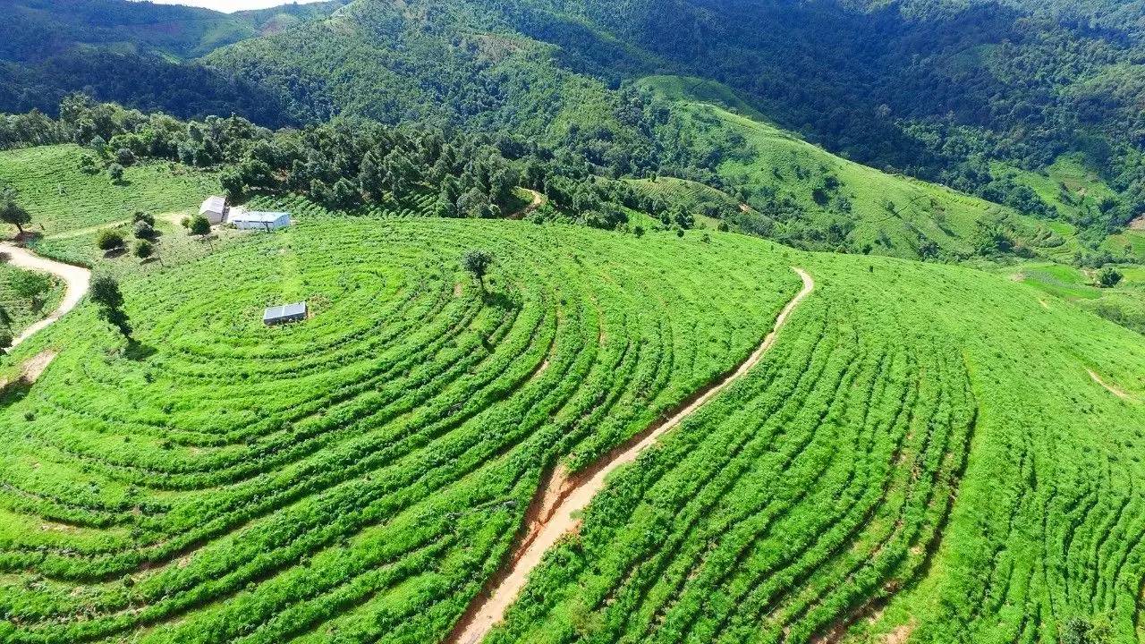 致富经野猪养殖基地_野猪养殖户_致富野猪养殖基地图片