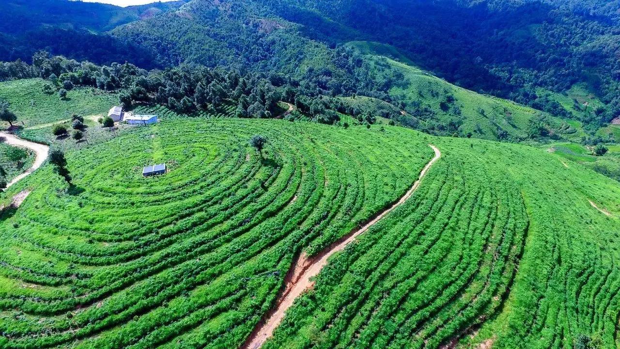 致富经野猪养殖基地_野猪养殖户_致富野猪养殖基地图片