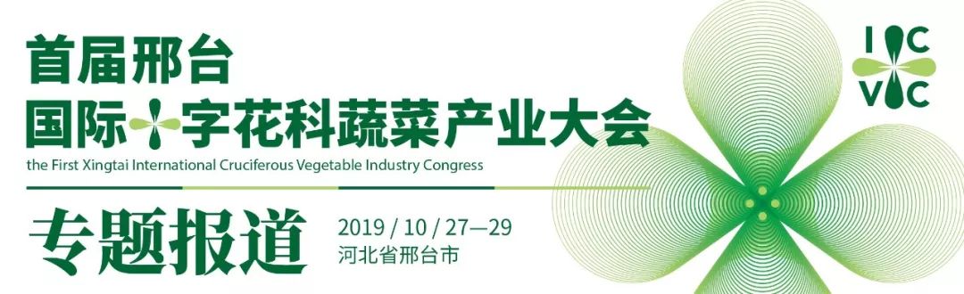 致富经阳海林_致富经李海林视频_致富经李海林用沙子养猪