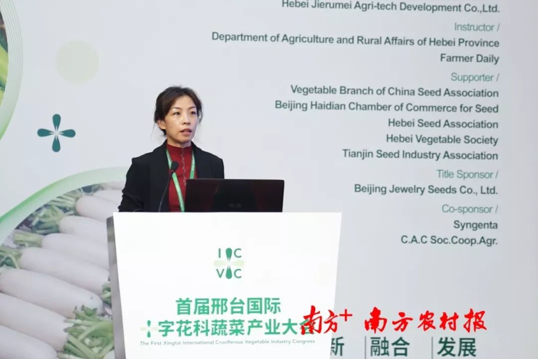 致富经李海林视频_致富经李海林用沙子养猪_致富经阳海林