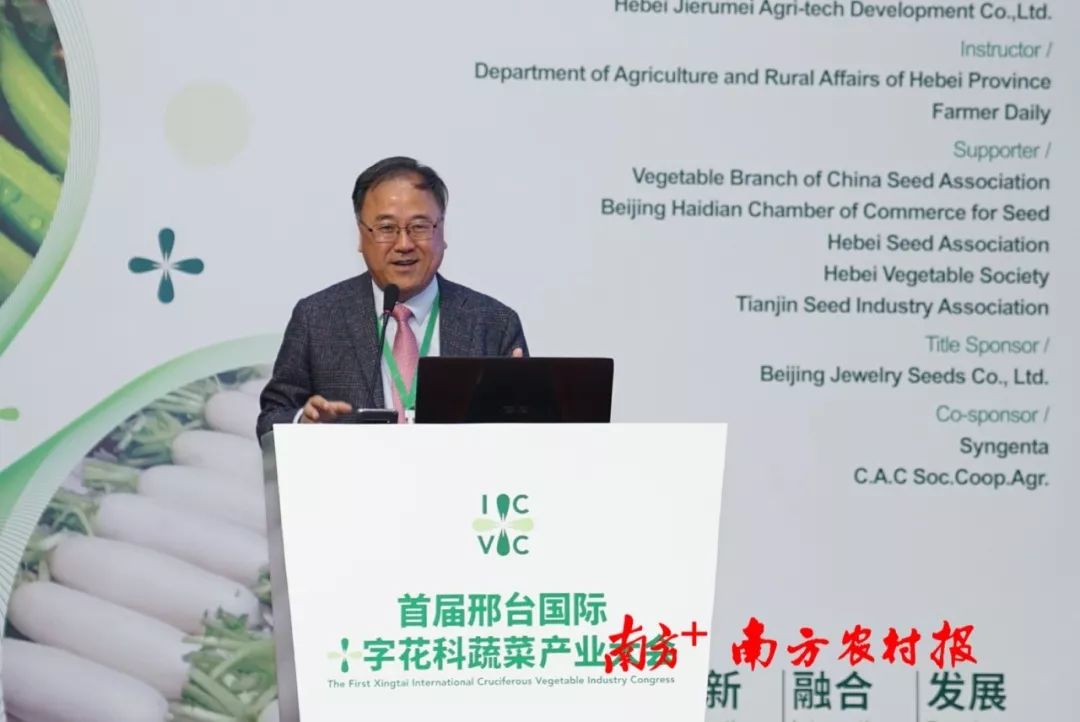 致富经李海林用沙子养猪_致富经李海林视频_致富经阳海林
