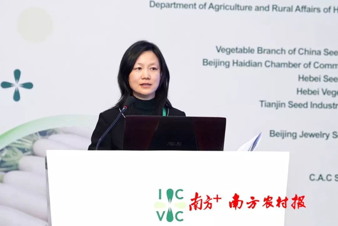 致富经李海林视频_致富经阳海林_致富经李海林用沙子养猪