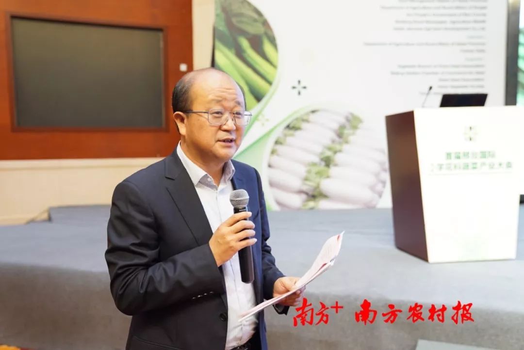 致富经阳海林_致富经李海林用沙子养猪_致富经李海林视频