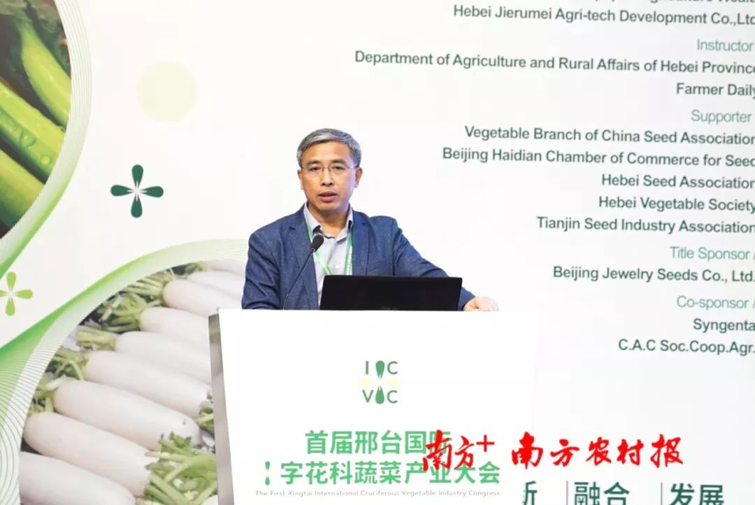 致富经李海林用沙子养猪_致富经李海林视频_致富经阳海林