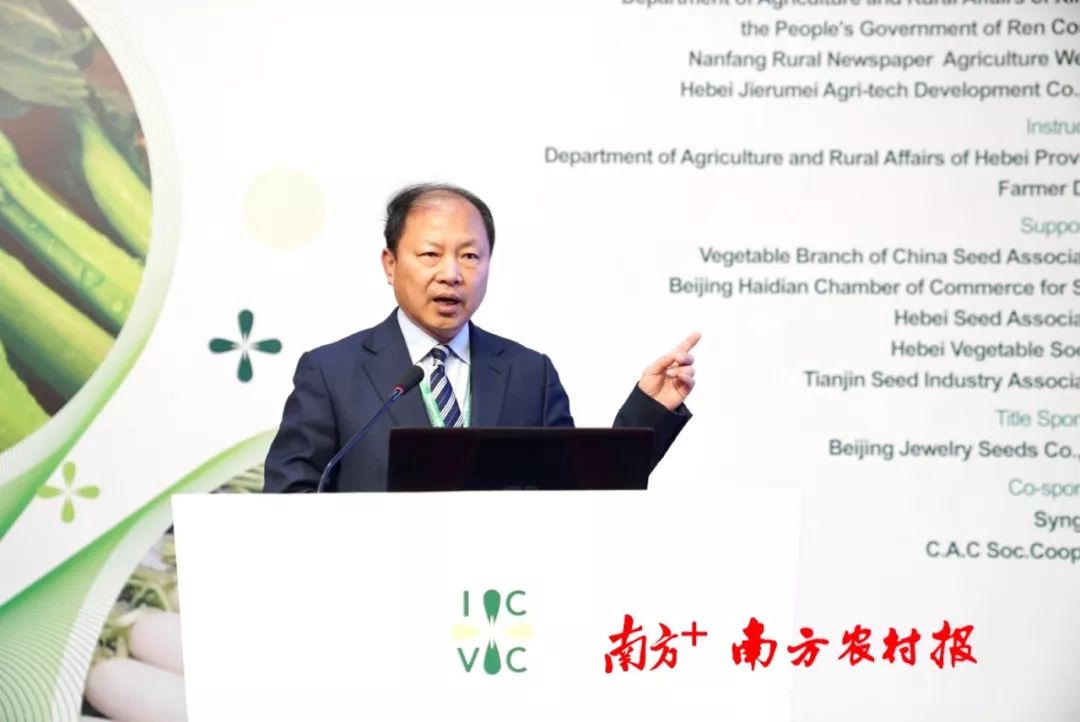 致富经阳海林_致富经李海林用沙子养猪_致富经李海林视频