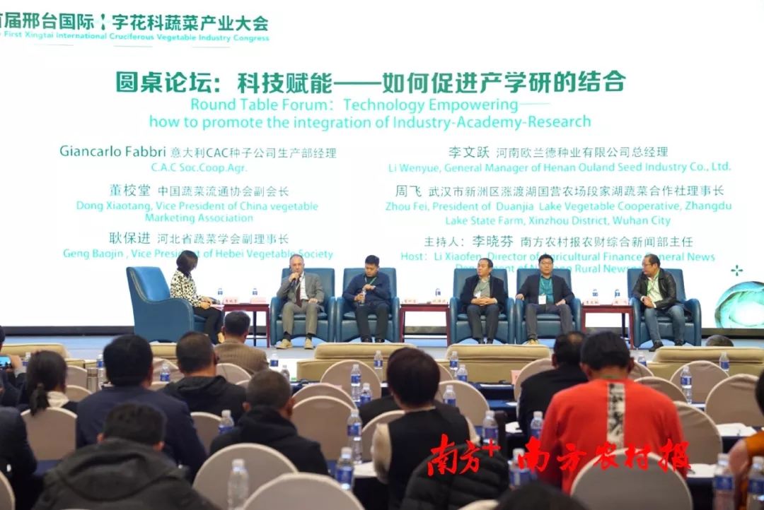 致富经李海林视频_致富经阳海林_致富经李海林用沙子养猪