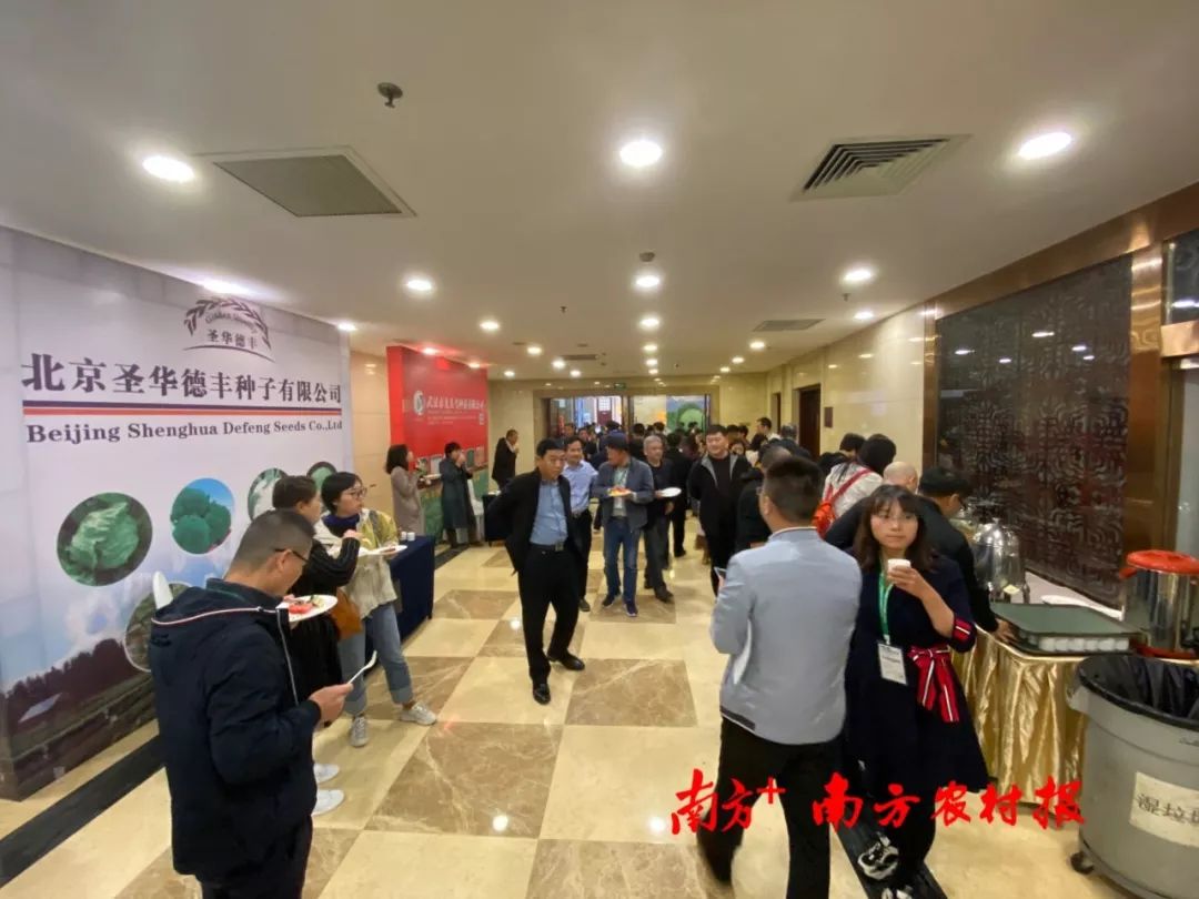 致富经李海林视频_致富经阳海林_致富经李海林用沙子养猪