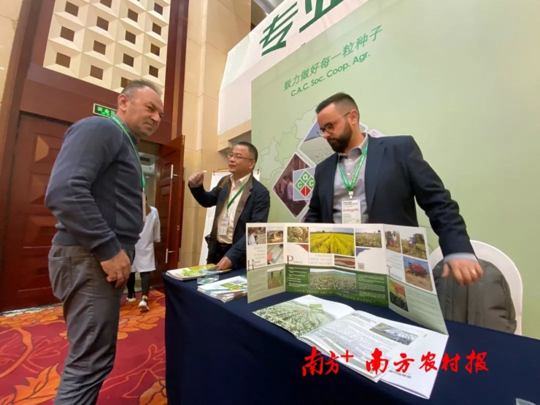 致富经李海林视频_致富经李海林用沙子养猪_致富经阳海林