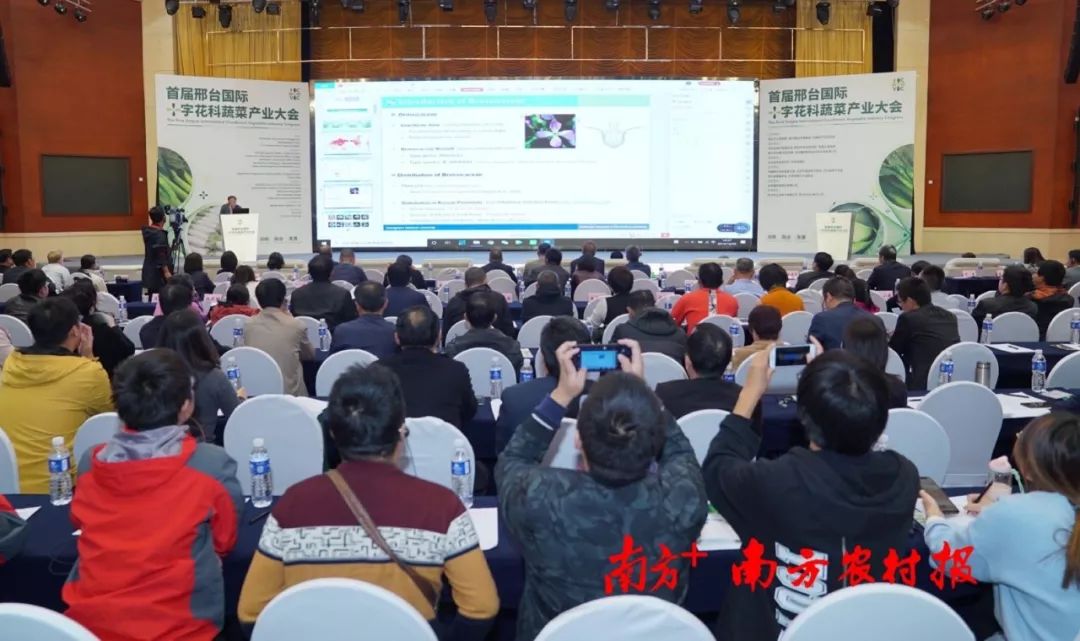 致富经李海林用沙子养猪_致富经李海林视频_致富经阳海林