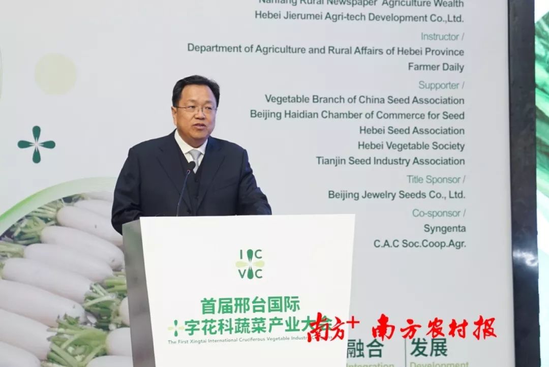 致富经阳海林_致富经李海林用沙子养猪_致富经李海林视频