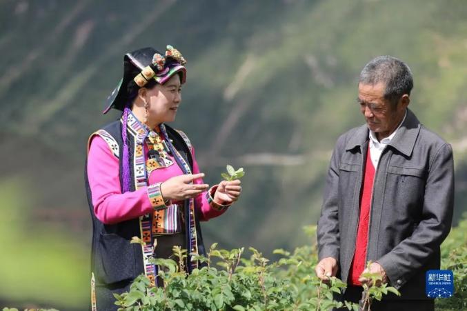 乡亲种植致富花_农村种花致富能人_致富种植乡亲花的句子