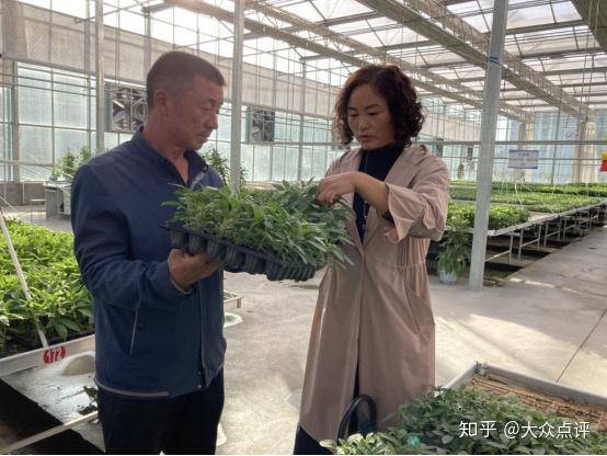 种植瓜果致富方法_致富瓜果种植方法图片_致富瓜果种植方法视频