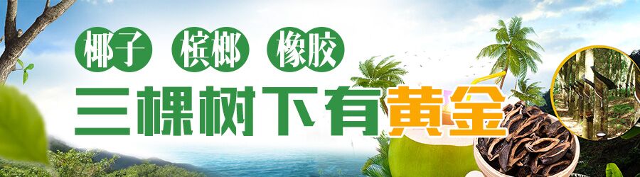 上海种树_上海种植什么树_上海种植致富树