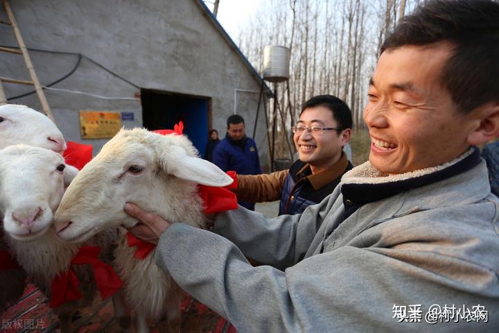 致富瓜果种植方法有哪些_种植瓜果致富方法_致富经种水果