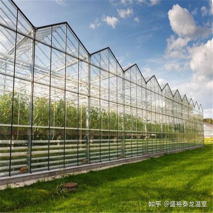 温室种植致富行业_温室种植什么前景最好_2021农业温室种植政策