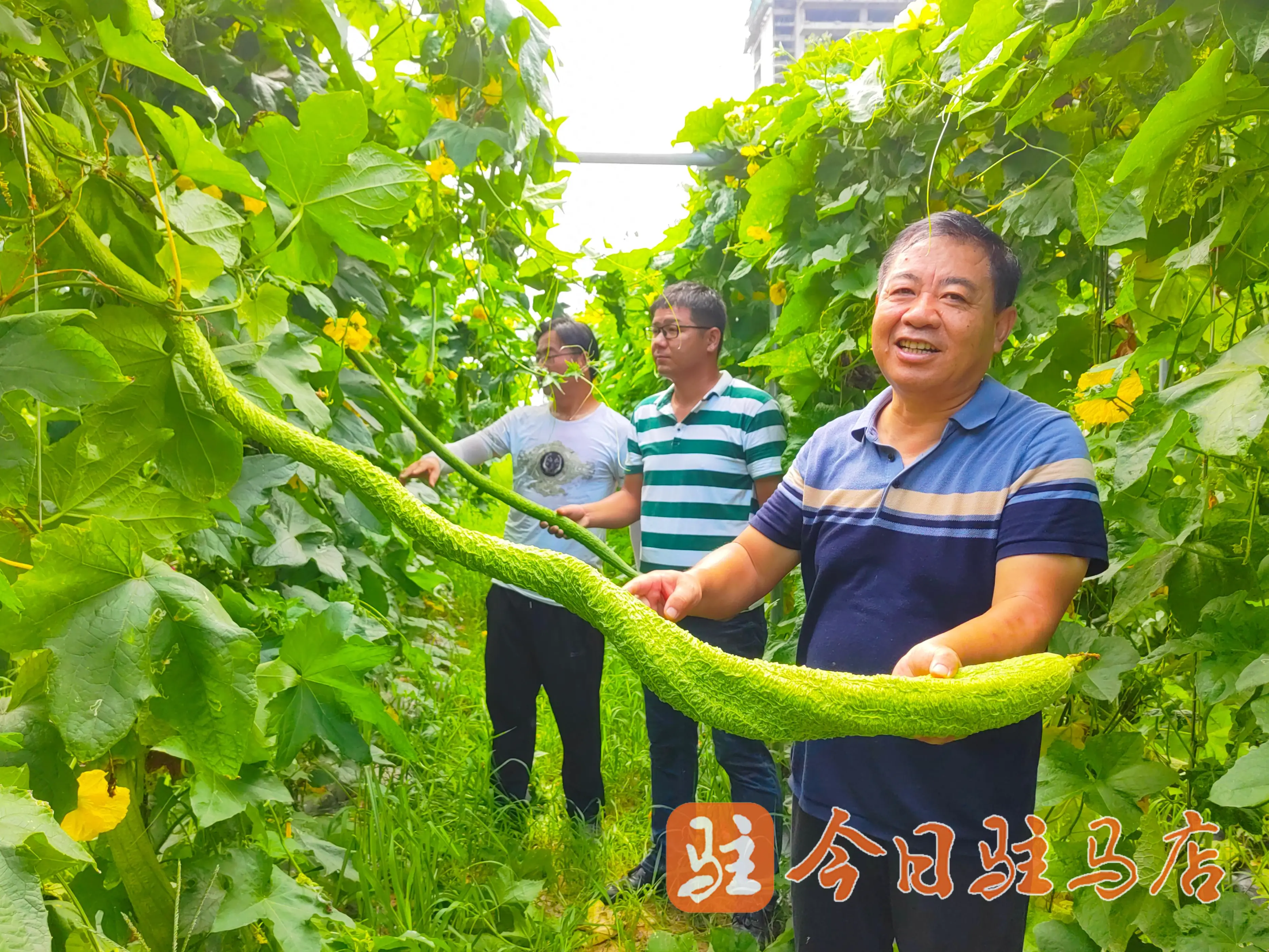 梦想花开｜一粒种子诉真情