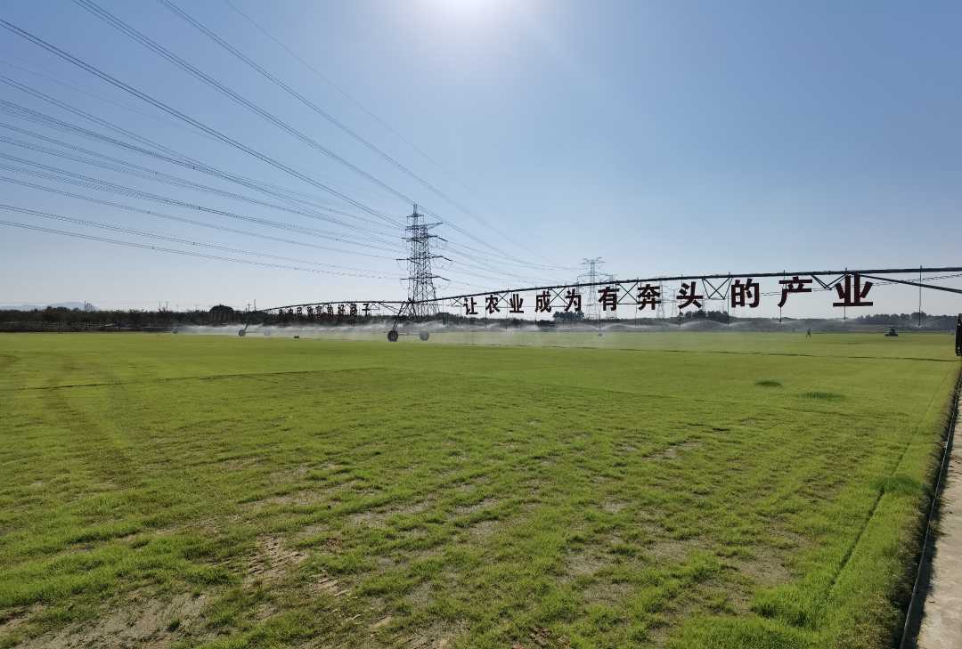 【经济日报】南京农业大学：研究院“下乡”解乡村振兴难题