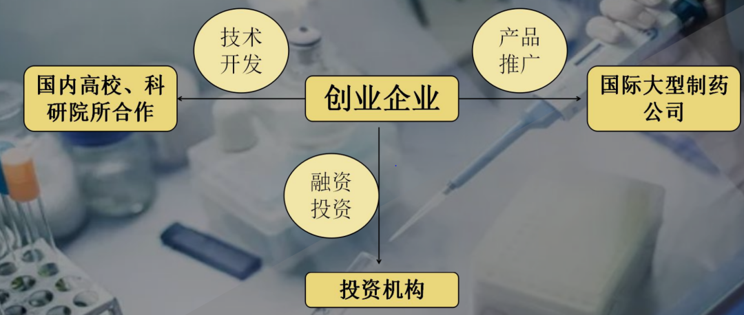 养殖致富新门路100条书籍_致富养殖好项目大全_未来养殖致富项目计划书