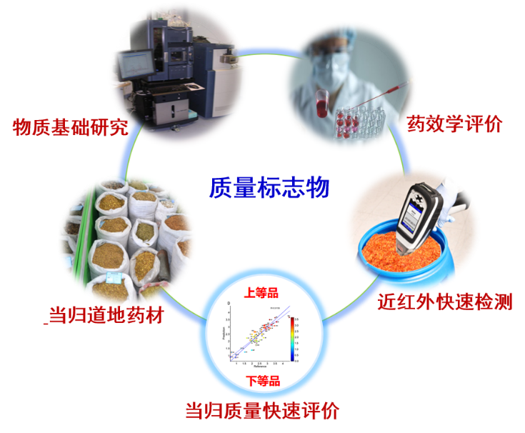 养殖致富新门路100条书籍_致富养殖好项目大全_未来养殖致富项目计划书