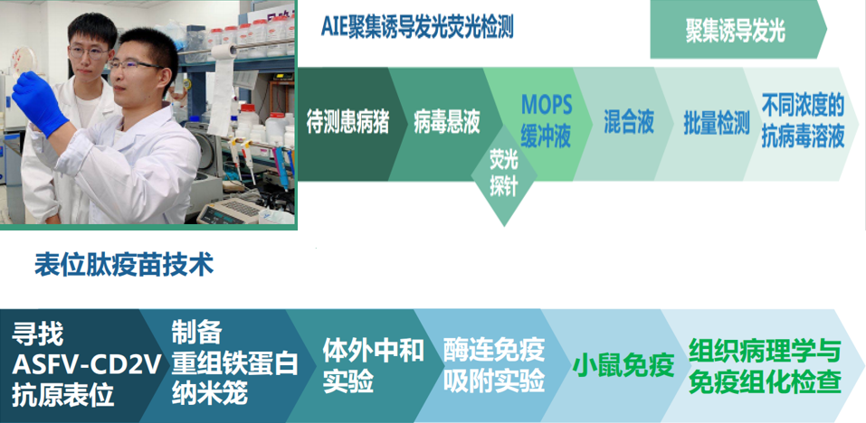 养殖致富新门路100条书籍_致富养殖好项目大全_未来养殖致富项目计划书