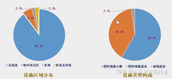 温室种植致富行业_温室行业的市场前景_2021农业温室种植政策