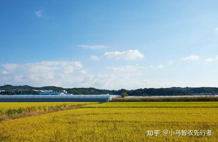 温室行业的市场前景_2021农业温室种植政策_温室种植致富行业