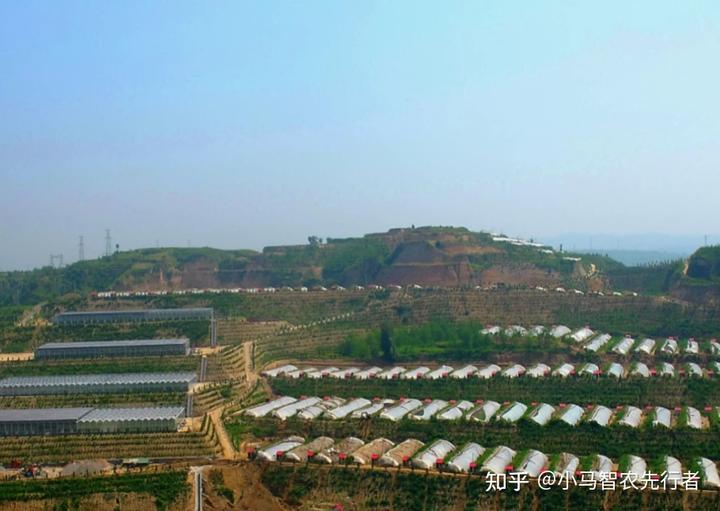 温室种植致富行业_2021农业温室种植政策_温室行业的市场前景