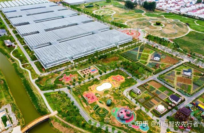 温室行业的市场前景_2021农业温室种植政策_温室种植致富行业