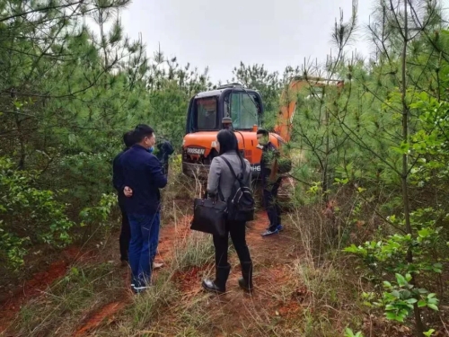 养殖鹌鹑前景如何_鹌鹑的养殖致富_养殖鹌鹑赚钱吗