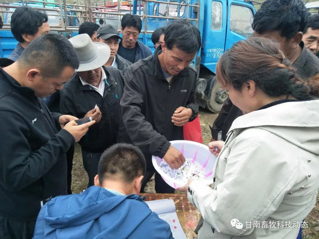 养殖致富项目牛_致富养牛牛人_犏牛养殖致富