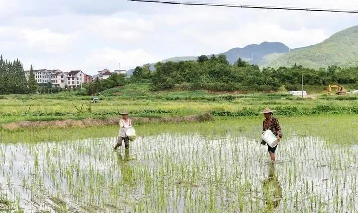 致富养殖好项目大全_养殖致富经验_致富养殖视频