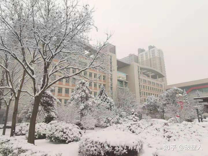 高中优秀学生经验分享_优质高中学习经验_高中学生经验分享发言稿