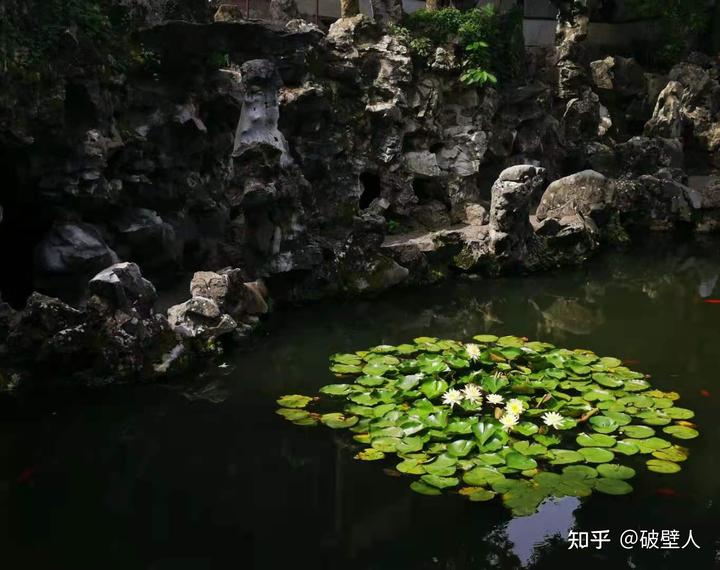 高中优秀学生经验分享_高中学生经验分享发言稿_优质高中学习经验