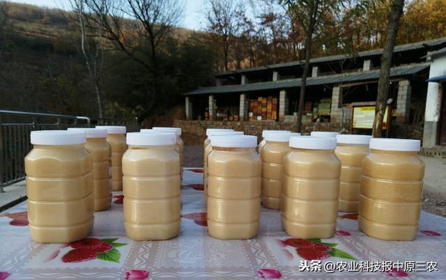 鲁山养殖业_鲁山畜牧业生产养殖基地_山东鲁山养殖致富