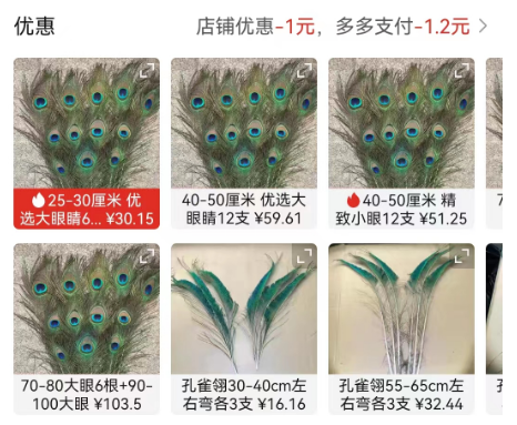 养殖蓝孔雀_致富经篮孔雀养殖_孔雀蓝植物养殖