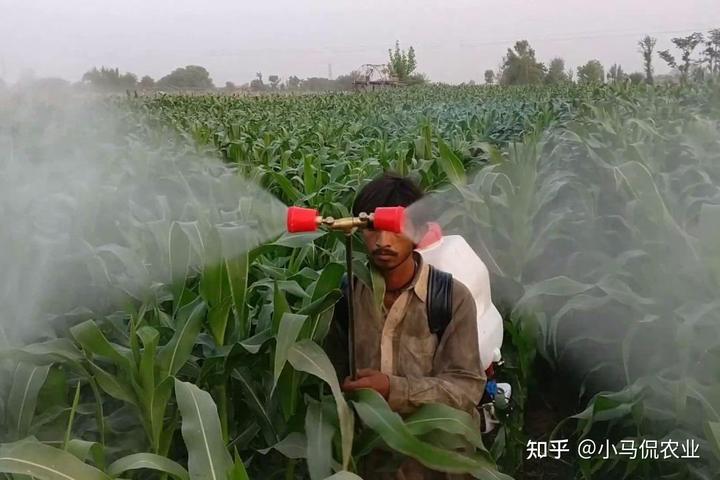 养虫致富_农民种植致富虫_农村致富种