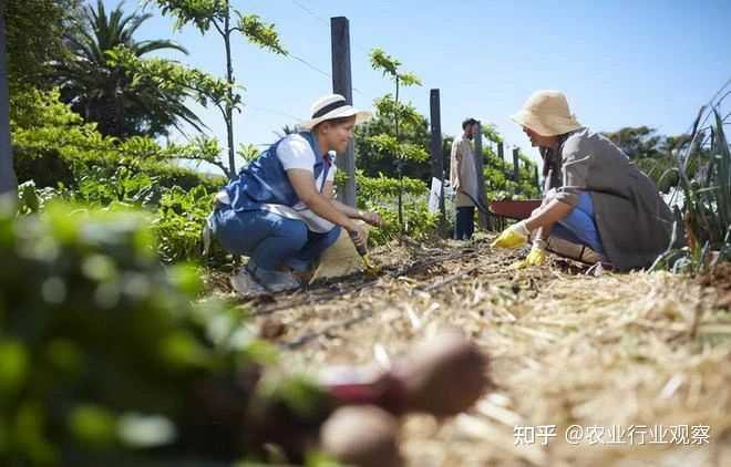 养殖致富项目视频_致富经果园养殖视频_果园养殖成功案例