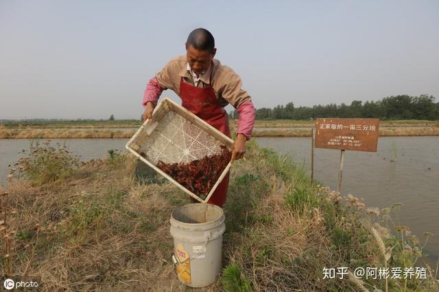 水产养殖致富经_养殖水产致富经_水产养殖带动村民增收致富