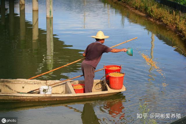 水产养殖致富经_养殖水产致富经_水产养殖带动村民增收致富