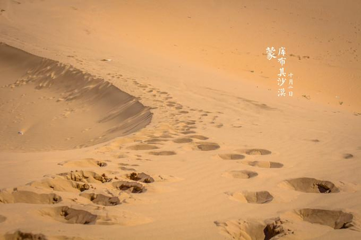 沙漠绿植生态园_致富经沙漠的生态园_沙漠农家乐