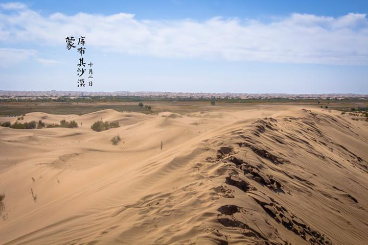 沙漠绿植生态园_致富经沙漠的生态园_沙漠农家乐