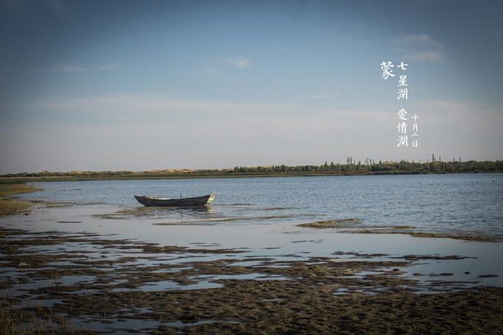 沙漠农家乐_沙漠绿植生态园_致富经沙漠的生态园