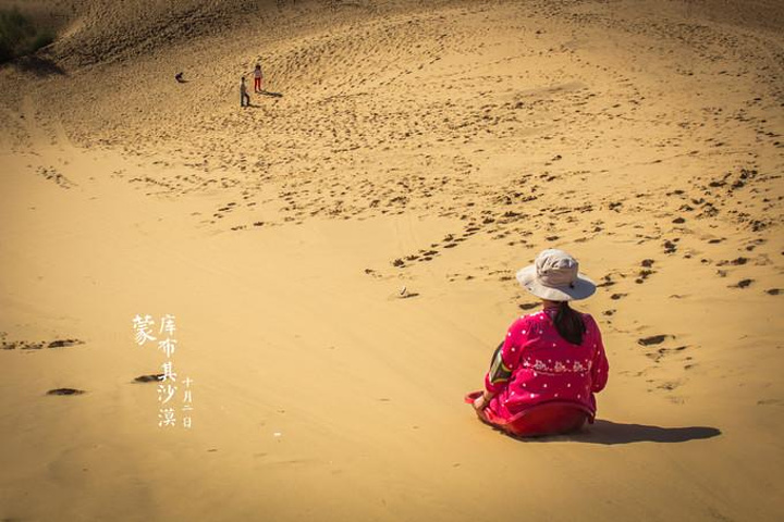 致富经沙漠的生态园_沙漠绿植生态园_沙漠农家乐