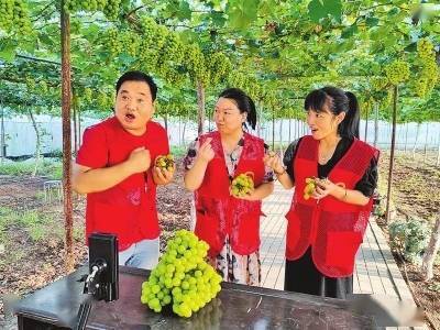 民权山药种植致富_种植山药前景怎么样_山药种植专家