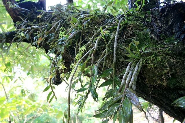 种地发家致富_2021发家致富项目_发家致富种植什么发家致富