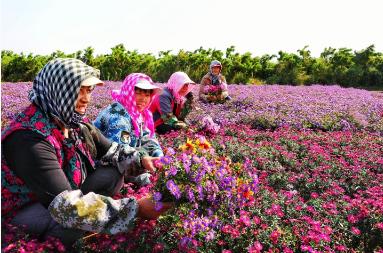 今天，央视财经频道大小屏幕齐发，聚焦台安县“脱贫攻坚”！